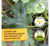 Solabiol Grundstoff Lecithin Spray 1 l Produktbild-Vorschau 5