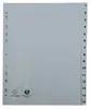 Exacompta Forever - Trennelement - 15 Teile - vorgedruckt: Produktbild-Vorschau 6