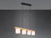 Trio - Hängelampe CAMERON -  - 0x0x150 cm Produktbild-Vorschau 21