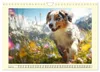 Australian Shepherd. Wanderfreude auf Pfoten im Bergsommer Produktbild-Vorschau 7