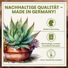 Green Home Kakteen & Sukkulenten Erde 72L mit Perlit. Produktbild-Vorschau 7