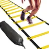 Koordinačný tréningový rebrík 6 m na cvičenie Náhľad obrázku produktu 8