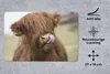 MuchoWow® Mauspad Mousepad Schottischer Highlander - Braun Produktbild-Vorschau 2
