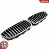 ESEN SKV 66SKV182 Kühlergrill Frontgrill für BMW 5 Touring Produktbild-Vorschau 3