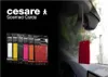 Mr&Mrs Cesare Duftkarte JCESTES003 Duft für Auto, Produktbild-Vorschau 1