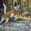 Hurtta HU-934532, Hund, Pullover, Braun, Stoff, Einfarbig Produktbild-Vorschau 8