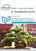 SAFLAX  - Mélèze d'Europe - 75 graines - Larix Voir les images du produit 5