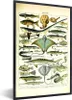 MuchoWow® Gerahmtes Poster Fische - Meerestiere - Tiere Produktbild-Vorschau 1
