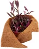 A potted plant with purple leaves is nestled within a brown, fibrous material, likely for protection or insulation. Voir les images du produit