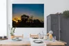 MuchoWow® Poster Silhouette von Bäumen bei Sonnenuntergang Produktbild-Vorschau 3