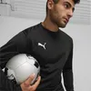 Puma Teamgoal Trainingssweat Herren - Schwarz Produktbild-Vorschau 4