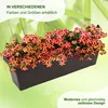 MePla - Blumenkasten Balcony Standard 100 cm braun Produktbild-Vorschau 6