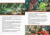 Pokémon Vorlesebuch: Die besten Pokémon-Vorlesegeschichten Produktbild-Vorschau 5