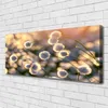 Tulup Leinwand-Bilder 125x50 Wandbild Canvas Kunstdruck Produktbild-Vorschau 2