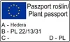 Bluszcz pospolity Harold 1L Podgląd zdjęcia produktu 9