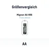 A diagram showing the size comparison of an AA battery. Anteprima dell’immagine prodotto