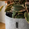 Kvetináč LECHUZA Trendcover 32 Felt Light Grey | Kvetináč Náhľad obrázku produktu 13