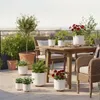 HowHomely | Vasi da fiori con piedini - Vasi per piante - Anteprima dell’immagine prodotto 5