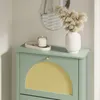 SoBuy Schuhschrank FSR222-GR grün mit gelbem Rattan-Arch und goldener Knopfgriff im Wohnzimmer Náhľad obrázku produktu
