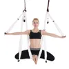 Joga Swing Hammock Trapeze Sling Aeria Home Gym Náhled obrázku produktu 2