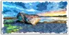 Coloray - Glasbild - 120x60 cm - Wandbild - Glasbilder - Produktbild-Vorschau 1