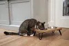 Designed by Lotte Linga - Dinerset Katze - Holz/Metall - Produktbild-Vorschau 5