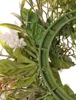 artplants.de Deko Kranz Margerite Cosmos MAGADI, Muscari, Produktbild-Vorschau 2