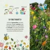 50 Blumenmurmeln im Tütchen 10 Tütchen á 5 bunte Seedbombs Produktbild-Vorschau 3