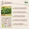 Samenliebe  Gurke Samen | Long Green Ridge - sehr lange - Produktbild-Vorschau 3
