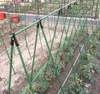 DIXIE STORE, Tomaten und Gurken Rankhilfe, Rankgitter Produktbild-Vorschau 11