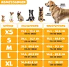 Lovpet® Hundegeschirr ohne Zug & würgen für Hunde & Welpen Produktbild-Vorschau 3