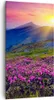 Bild auf Leinwand - Leinwandbild - Wiese Berge Landschaft - Produktbild-Vorschau 1