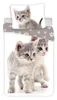 Leinen-Fotodruck Kitten grau 140x200, 70x90 cm Produktbild-Vorschau 1