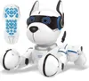Power Puppy – Mon chien robot Interactif Voir les images du produit 24