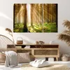 Bild auf Leinwand - Leinwandbild - Bäume Sonne Natur - Produktbild-Vorschau 7