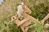 Schaukelpferd "Emma" aus Holz Produktbild-Vorschau 2