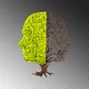 Wallity, Green- NTR1110, Zelená,Hnedá, Ostatné bytové Náhľad obrázku produktu 5