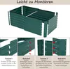 TolleTour Jardin Lit surélevé Vert 160x90x60cm Acier Voir les images du produit 3