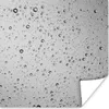 MuchoWow® Poster Wassertropfen auf einem Glas 75x75 cm - Produktbild-Vorschau 1