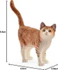 Animal de compagnie - chat Voir les images du produit 8