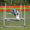 JOIEYOU 4-er Agility Hürdenset PVC Slalom Haustier Produktbild-Vorschau 4