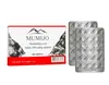 Reines Shilajit Mumijo Altai Bergbalsam 4 x 60 Tabletten Produktbild-Vorschau 2