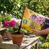 FRUX Ziemia do rododendronów i torfowisk 18l Dekoracja Podgląd zdjęcia produktu 5
