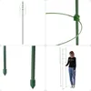 KADAX Podpórki do bylin 180 cm, 6 sztuk, podpórki do Podgląd zdjęcia produktu 11