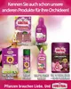 Substral Tyčinky pro hnojení orchidejí 10ks. Náhled obrázku produktu 8
