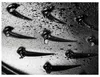 ZWILLING STAUB BRAISERS, Rund, Schwenkpfanne, Grün, Produktbild-Vorschau 7