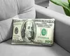 Cuscino decorativo a forma di banconota - Cento dollari - Anteprima dell’immagine prodotto 2