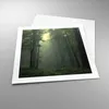 Poster - Poster ohne Rahmen - Wald Nebel Baum - 50x50 cm - Produktbild-Vorschau 3