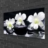 Acrylglasbilder 100x50 Wandbild Druck Blumen Steine Produktbild-Vorschau 2
