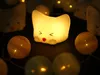 MEGAlight Batterie Catty Cat Lumière Voir les images du produit 9